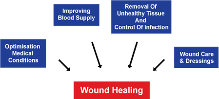 woundheal